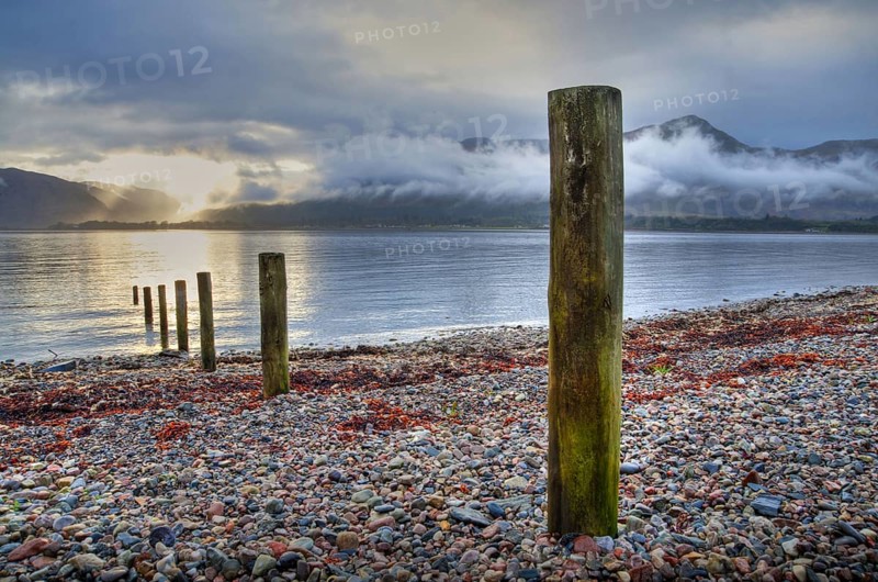 Wooden poles on the shore of the loch at sunset