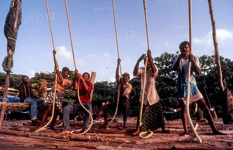 Operating the Chinese fishing nets or Cheena vala in Fort Kochi or Cochin