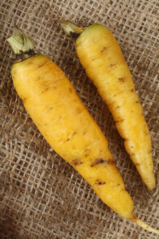 Carrot