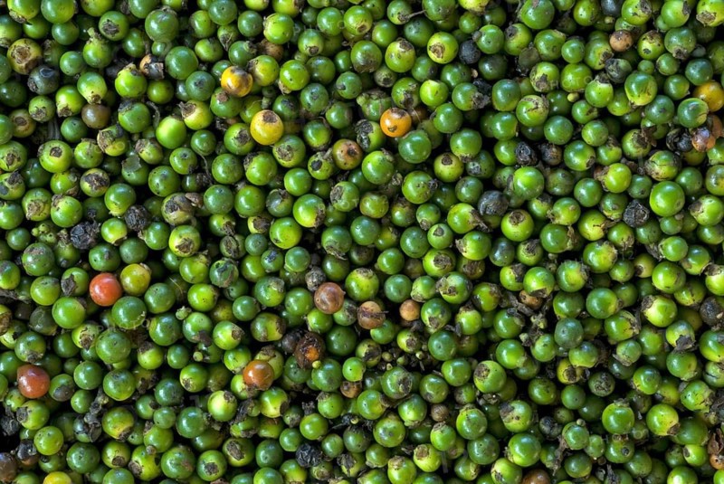 Black pepper