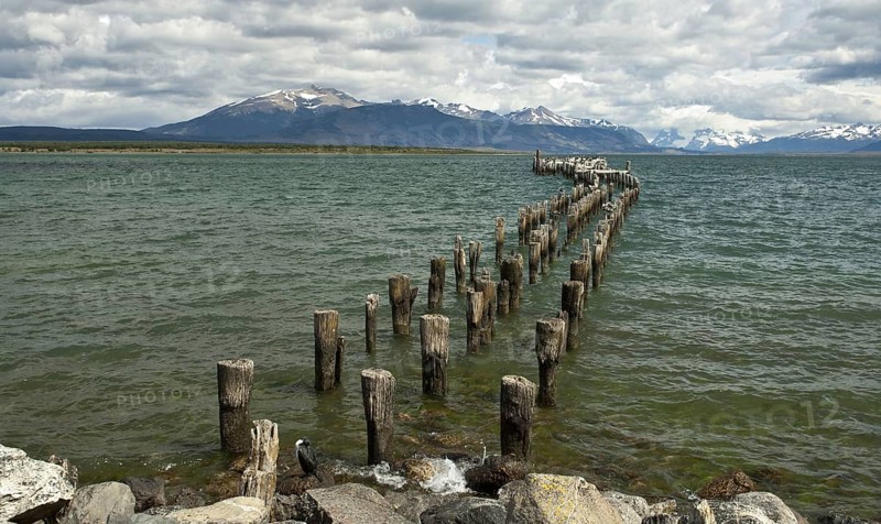 View of the coastline with remains of the breakwater and resting seabirds