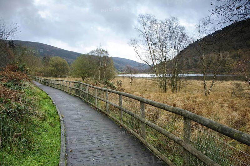 Boardwalk at edge of lake