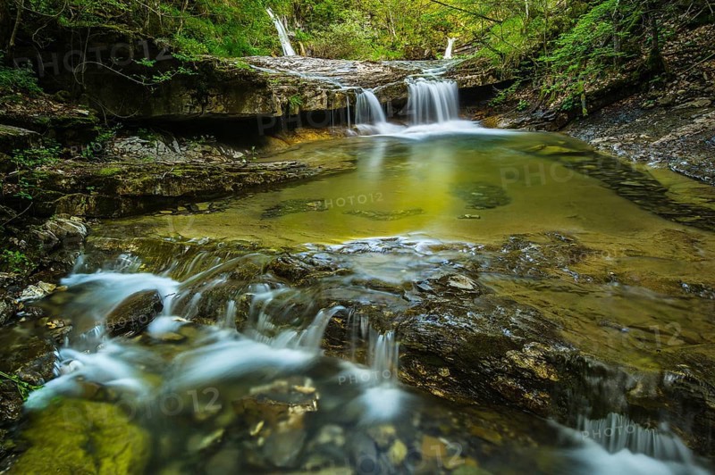 View of river habitat in the forest