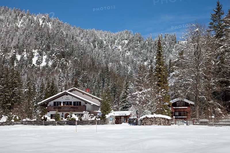 Winter landscape