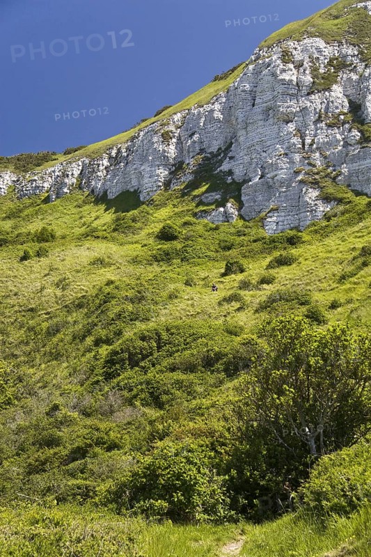 Chalk coastal foreshore with scrub habitat