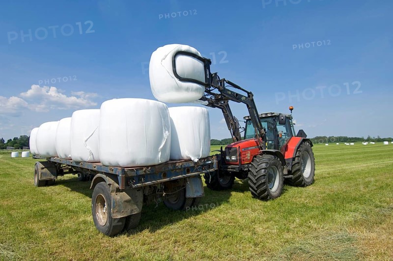 Plastic wrapped round silage bales stacked on trailer with mechanical loader
