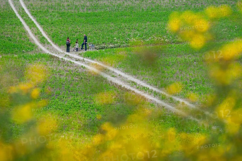 People walking dog on lead on track through farmland