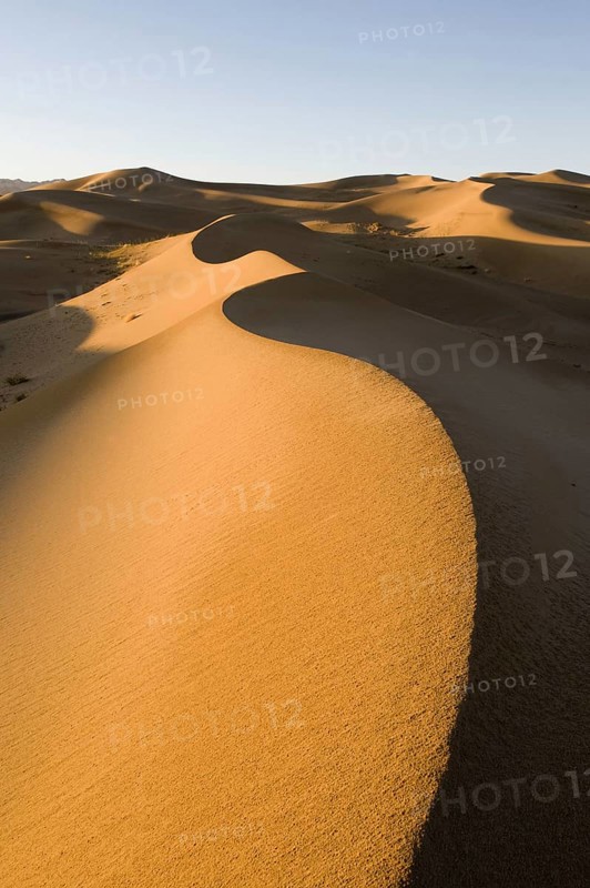 View of sand dunes in desert habitat
