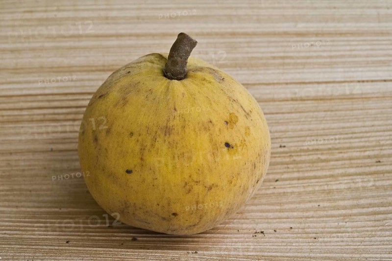 Santol