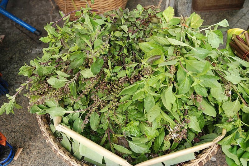 Thai Basil