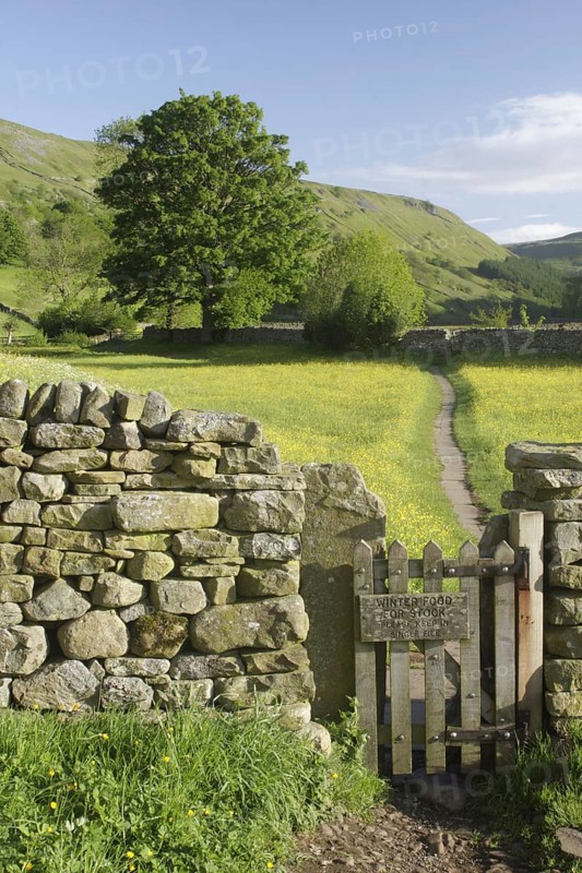 Wooden gate in dry stone wall