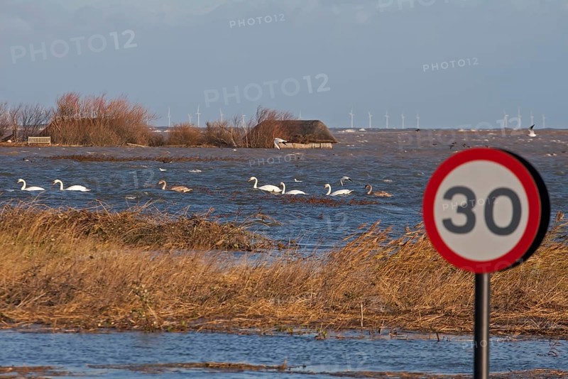 Flooded coastal road and coastal marshland after the surge