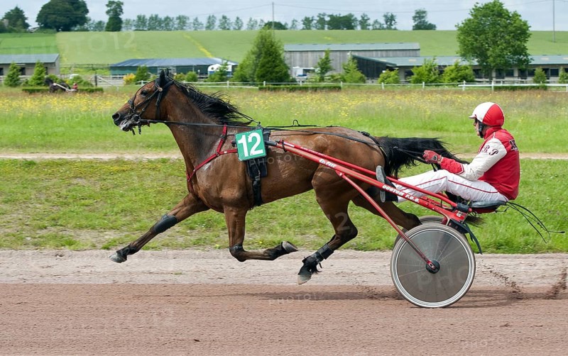 Horse racing