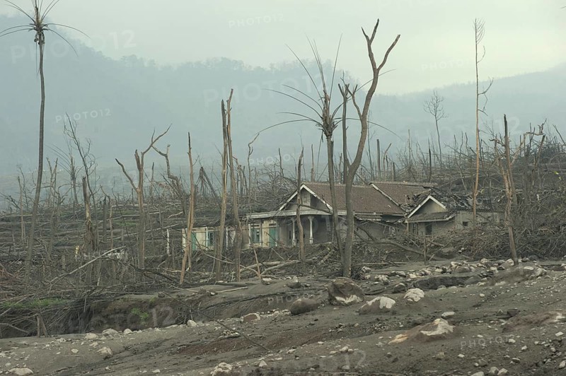 Ash-covered fields