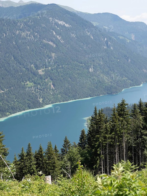 View from the Naggler Alm to the Weissensee