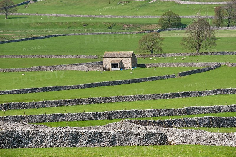 View of farmland with limestone drystone walls and barn