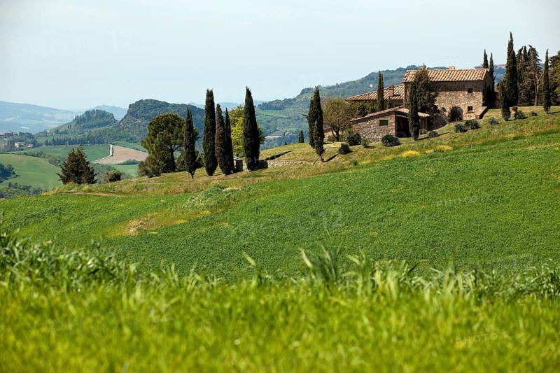 Farmhouse and mediterranean cypress