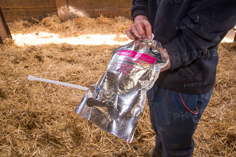 Dairy farming
