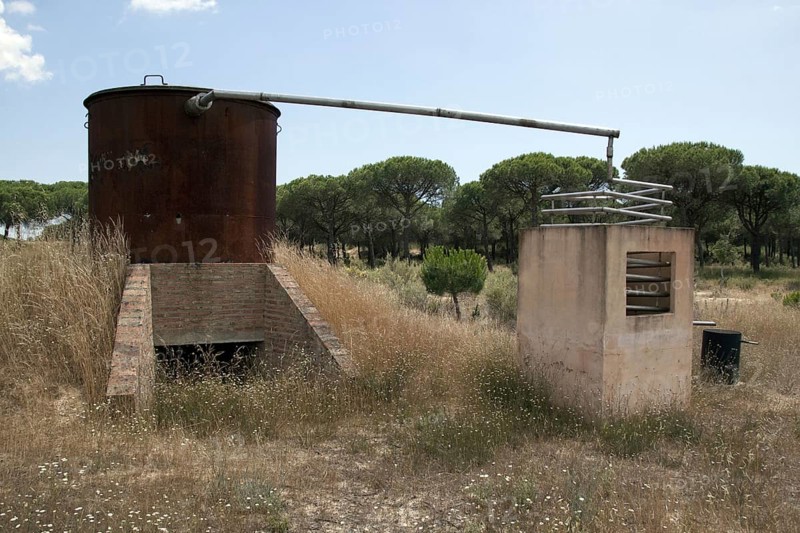 A distillation for the extraction of eucalyptus oil. The leaves were placed in the cauldron