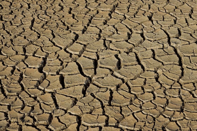 Dried and cracked mud
