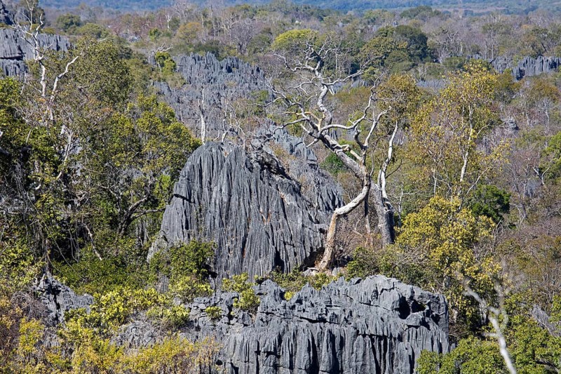 Karst limestone formation in Tsingy de Bemaraha Strict Nature Reserve