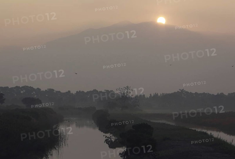 View of misty marsh at sunrise