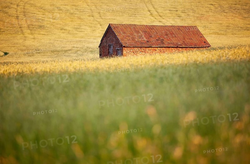 Red stone built barn in a hay meadow