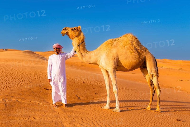 Camel