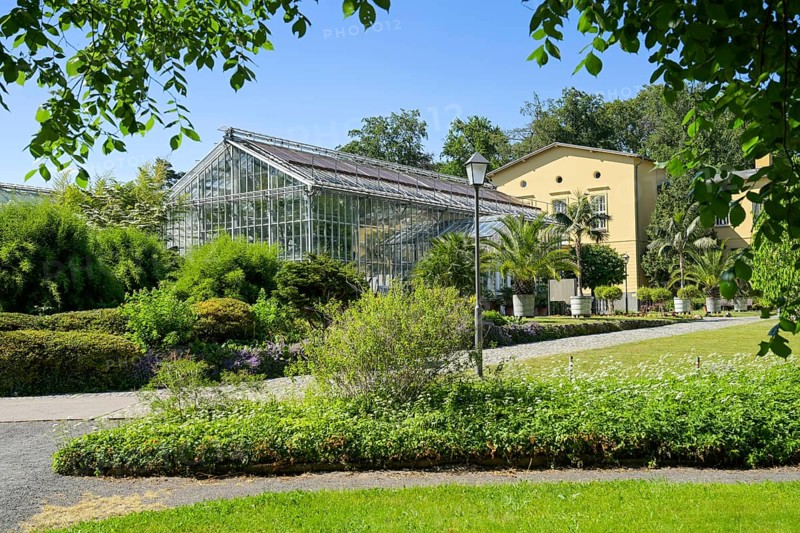 Greenhouse
