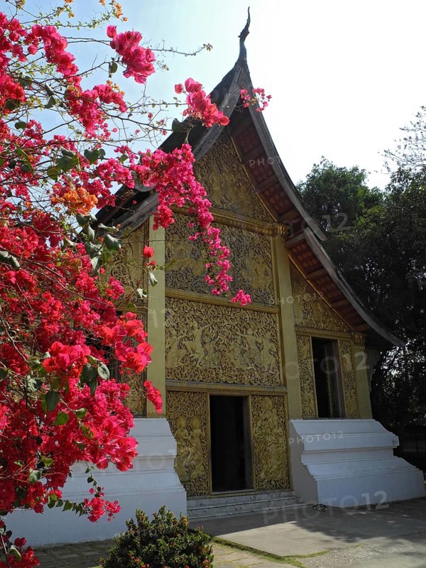 Temple Wat Xieng Thong