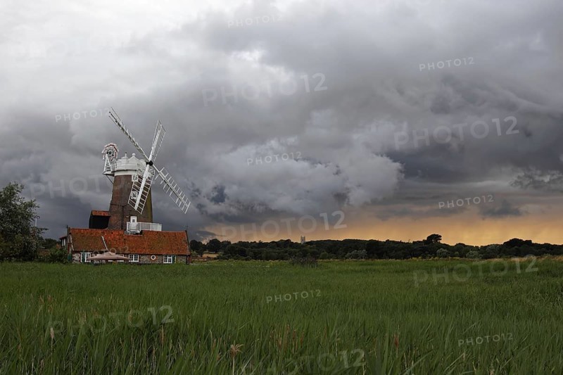 View over coastal reedbed habitat towards windmill and stormclouds