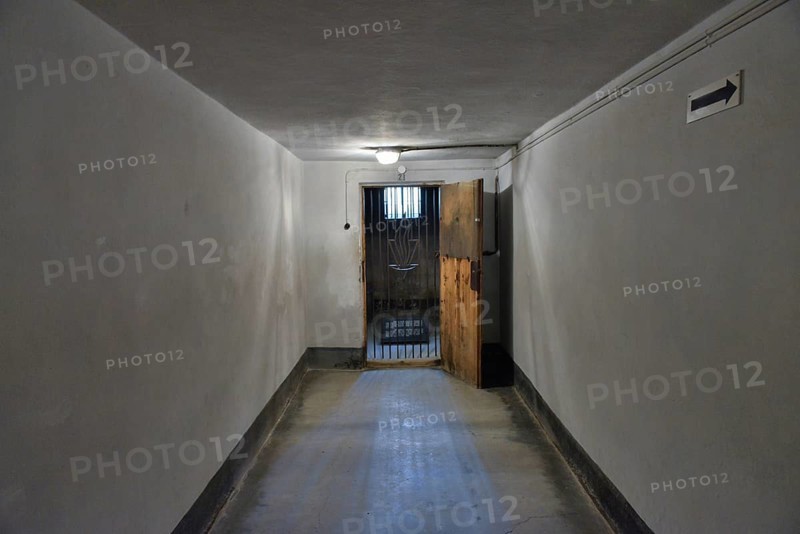 Cell