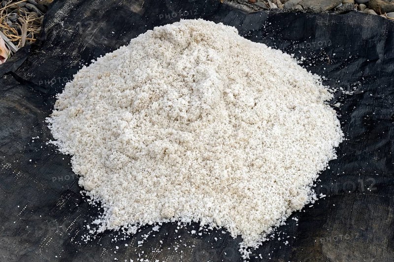 Harvested sea salt