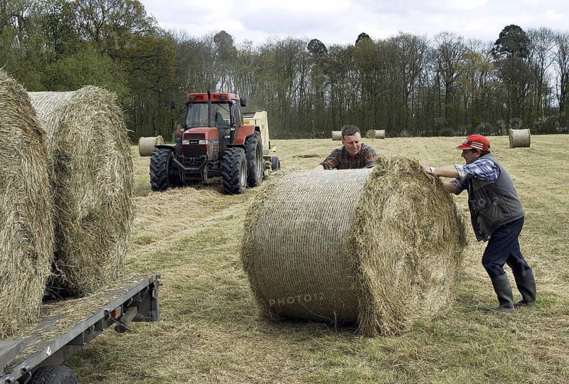 Farmers baling and loading round bales of hay