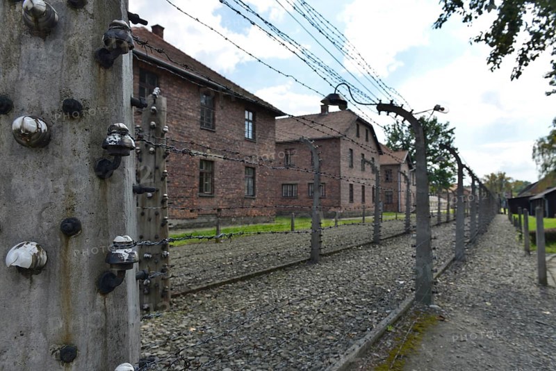 Barbed wire