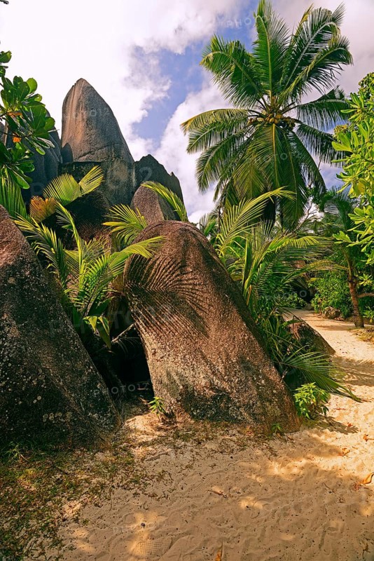 Palm trees and granite rocks on the dream beach Source d'Argent