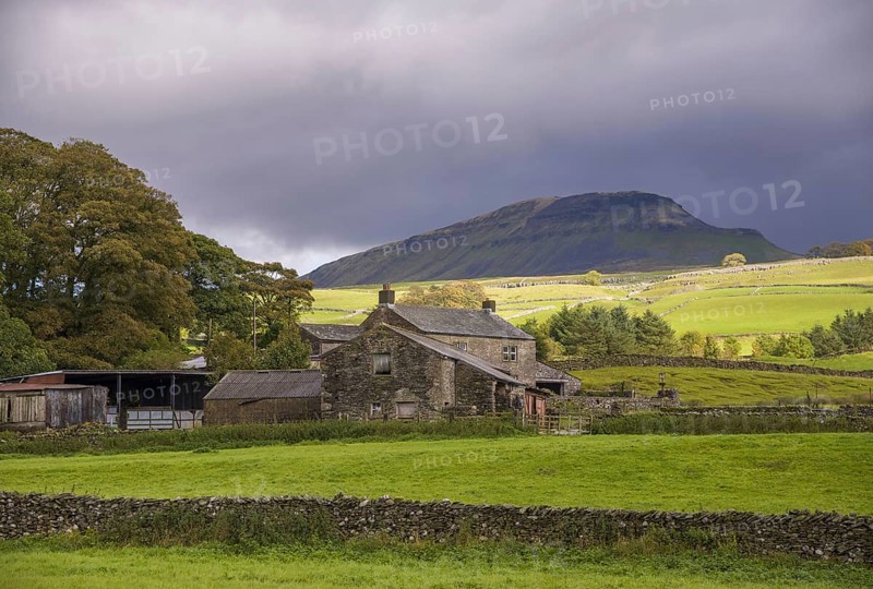 View of dry stone walls