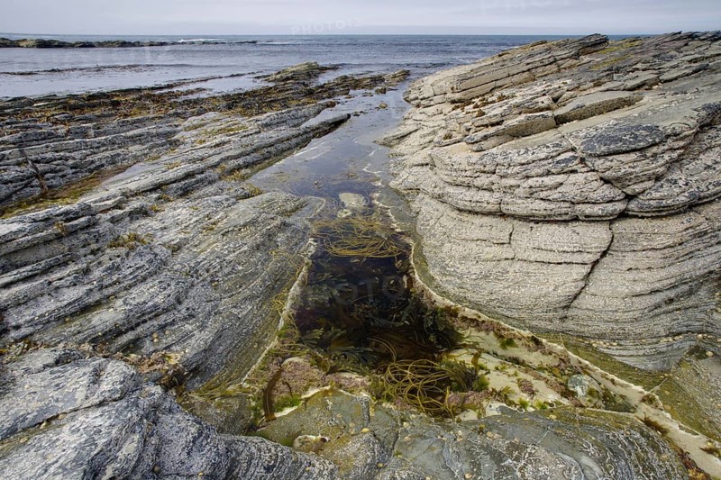 Rockpool on rocky coast at low tide