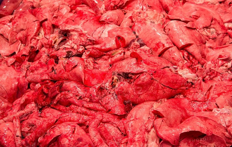 Pig offal in abattoir