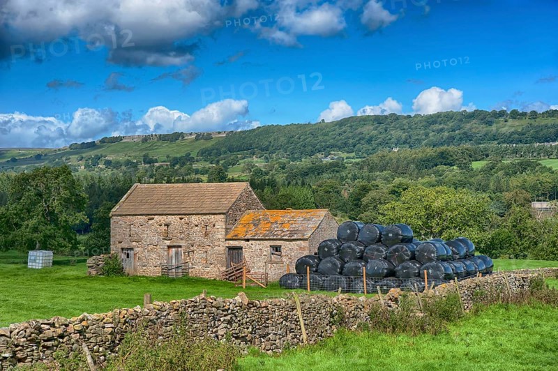 View of pasture