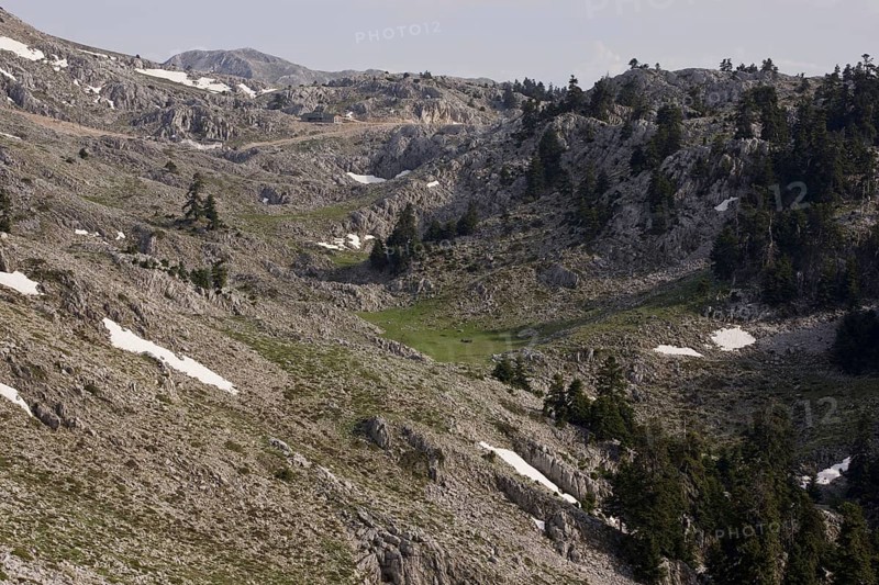 View of a karst limestone landscape with trees of the Greek greek fir
