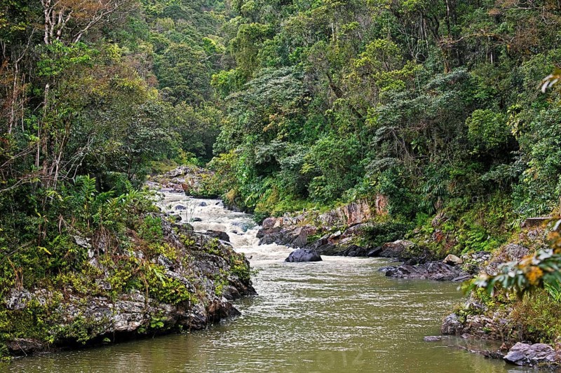 River course through the tropical rainforest of Ranomafana National Park