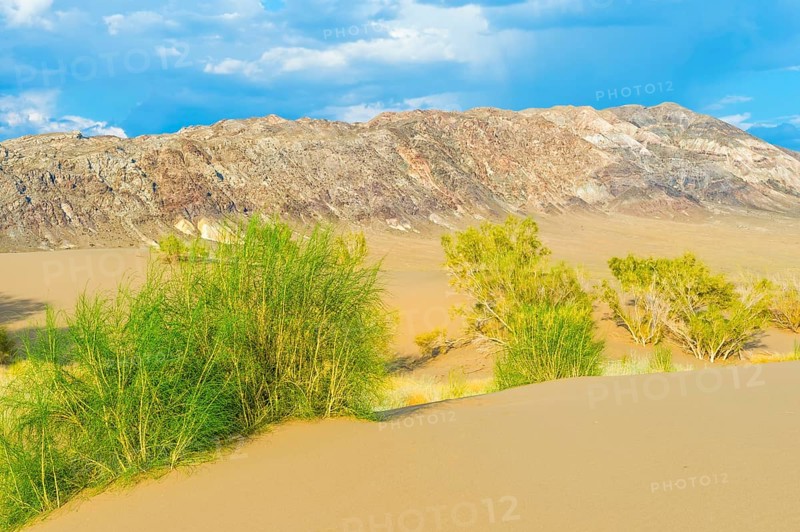 Singing Dunes