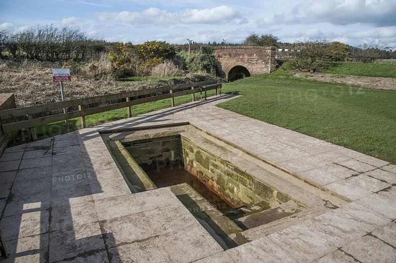 Chalybeate mineral spring