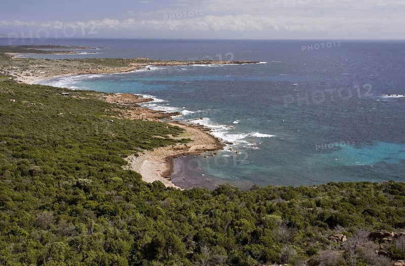 View of exposed