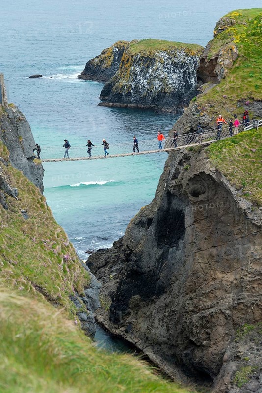Suspension Bridge