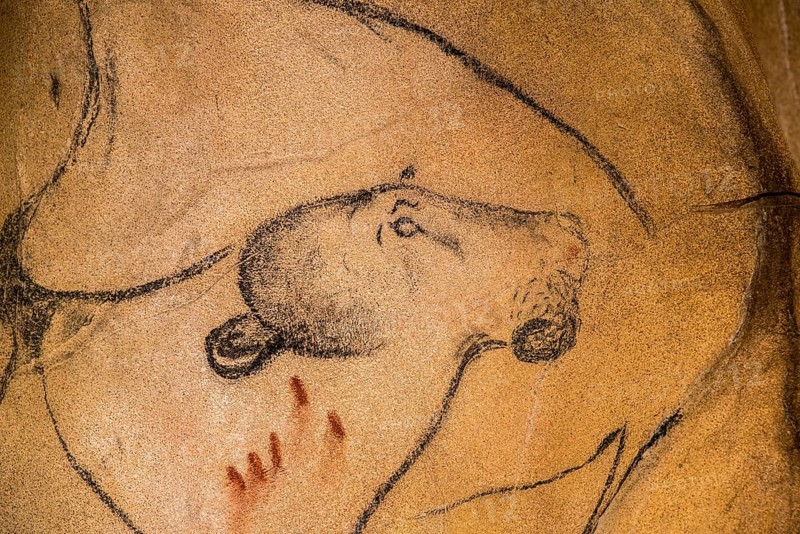 Replica of the prehistoric rock paintings from Chauvet Cave