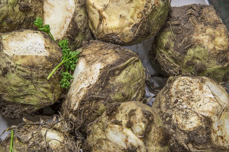 Celeriac