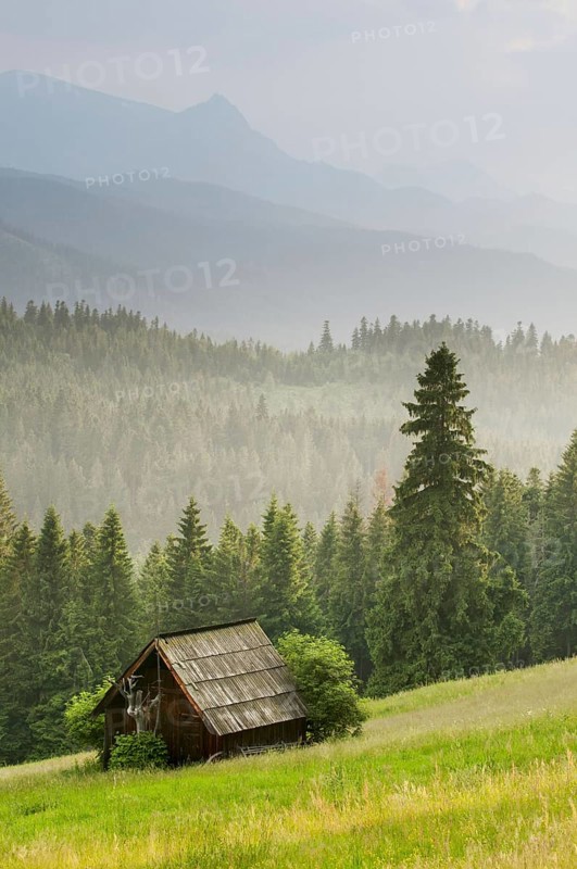 View over meadow