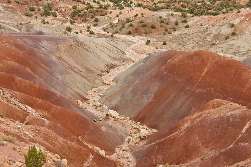 View of colourful 'badlands' habitat